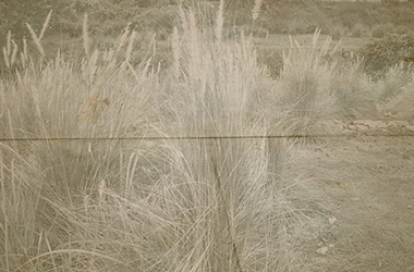 Whisperings 2 by NAFA alumni artist. Art guide to fine art in Singapore contemporary photography art prints centred on experimental photography, urban art, installation art and fine art curriculum academic studio practice in Singapore contemporary arts scene, art space and art culture