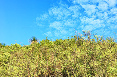 Photography by NUS Architecture Alumni. Art guide to fine art in Singapore contemporary photography art prints centred on experimental photography, landscape art, nature art and fine art curriculum academic studio practice in Singapore contemporary arts scene, art space and art culture