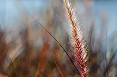 Photography by NUS Architecture Alumni. Art guide to fine art in Singapore contemporary photography art prints centred on experimental photography, nature art and fine art curriculum academic studio practice in Singapore contemporary arts scene, art space and art culture